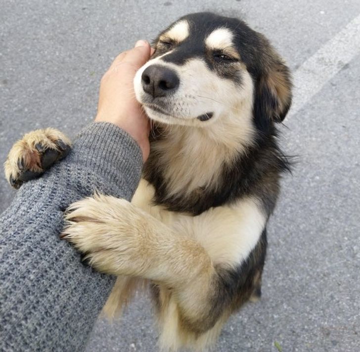 9fe99a5a77a01aac8b1e186149