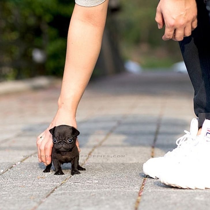 9feb8a5e078210d5c6754a4666