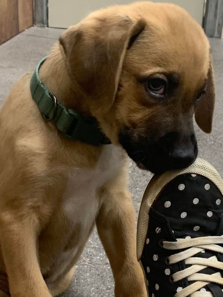 9fecb653f5927964a34a79f872