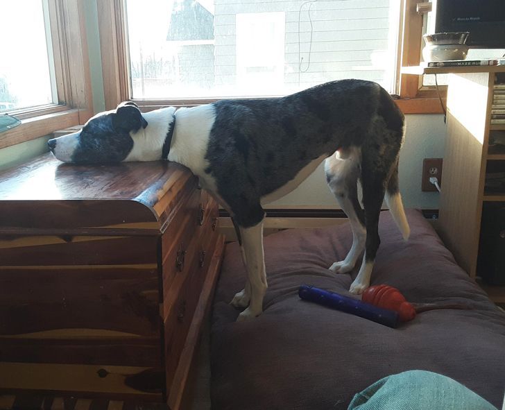 9fef335bd9990c62c7a8cd3c06