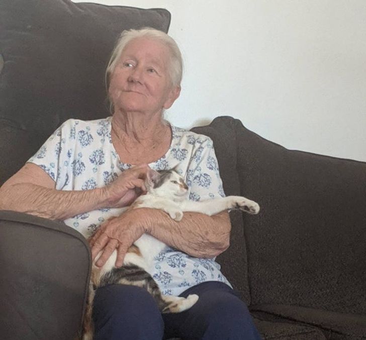 9ff36b5155a956fb693b5d355a