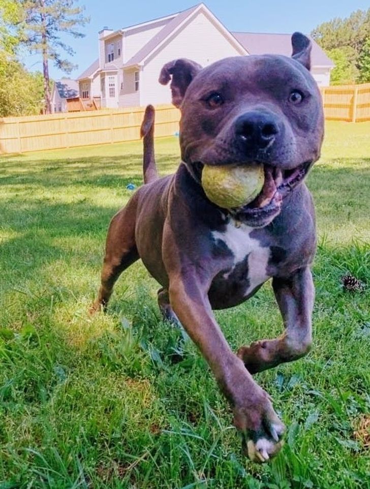 9ff8e1567a9b2f54884a32f6d2 9ff8e1567a9b2f54884a32f6d2