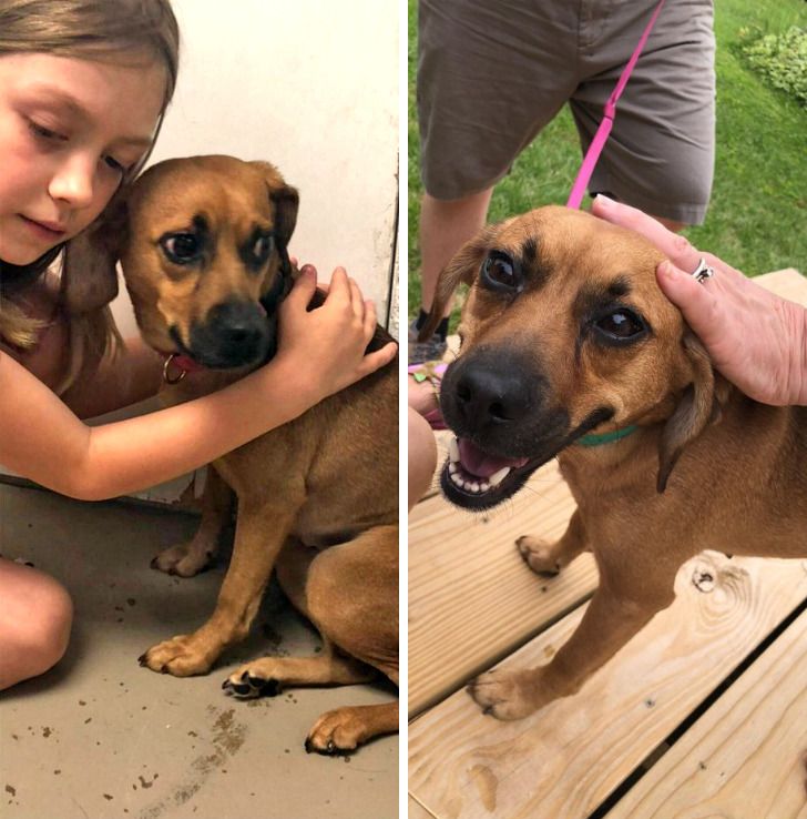 9fff3755fb976b332dde09aacb 9fff3755fb976b332dde09aacb