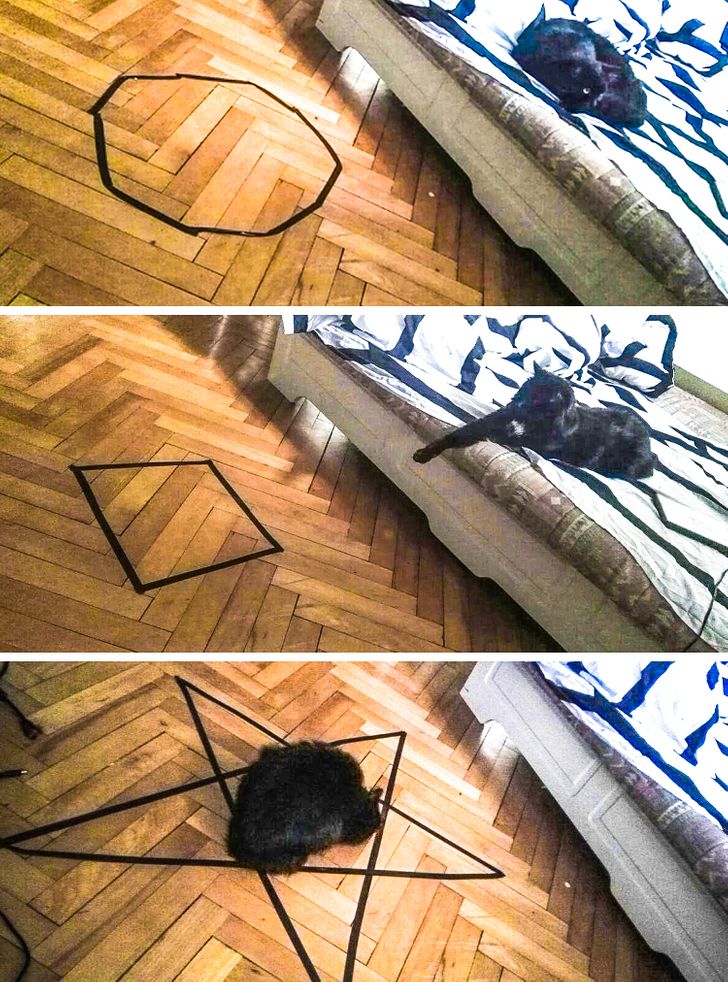 a001755353b71868e33f7f47a5