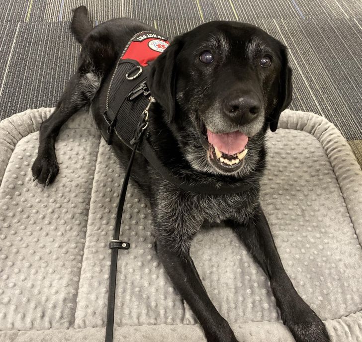 a00231530f9233461c4019273b