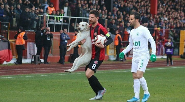 a00d8e54098f7565f6b52e448f