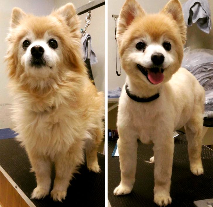 a022ec5c1da88026ddc16a4351