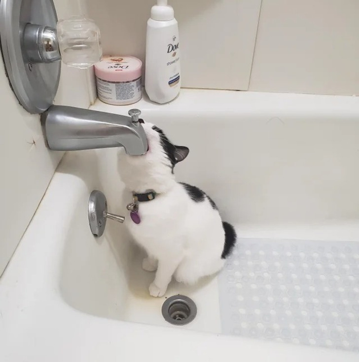 a0238b5c82af87ad4d3160be70