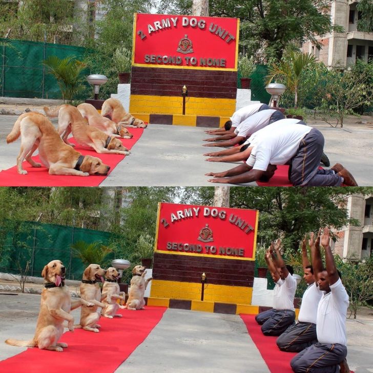 a0251a5b8685f90e9cb8afb46b