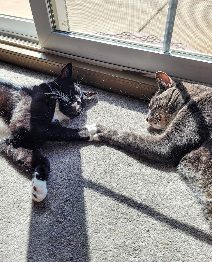 a02630501a80907b6f83a90eb5 a02630501a80907b6f83a90eb5