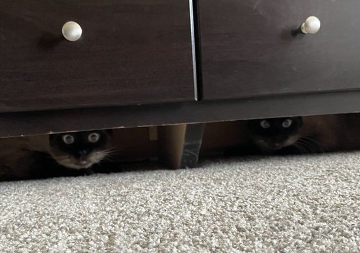 a02ab65cb4a5f6969db5593344