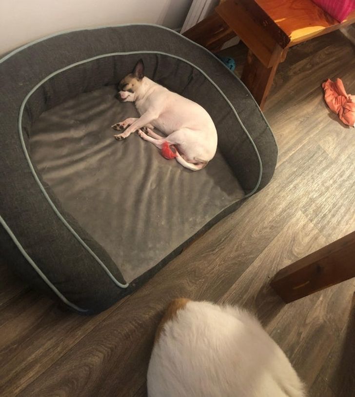 a02d115f1bace2940b81ede52f