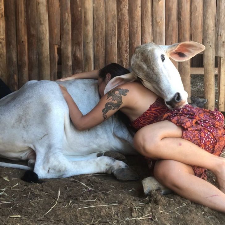 a0422e51028cfb69267e4a398e