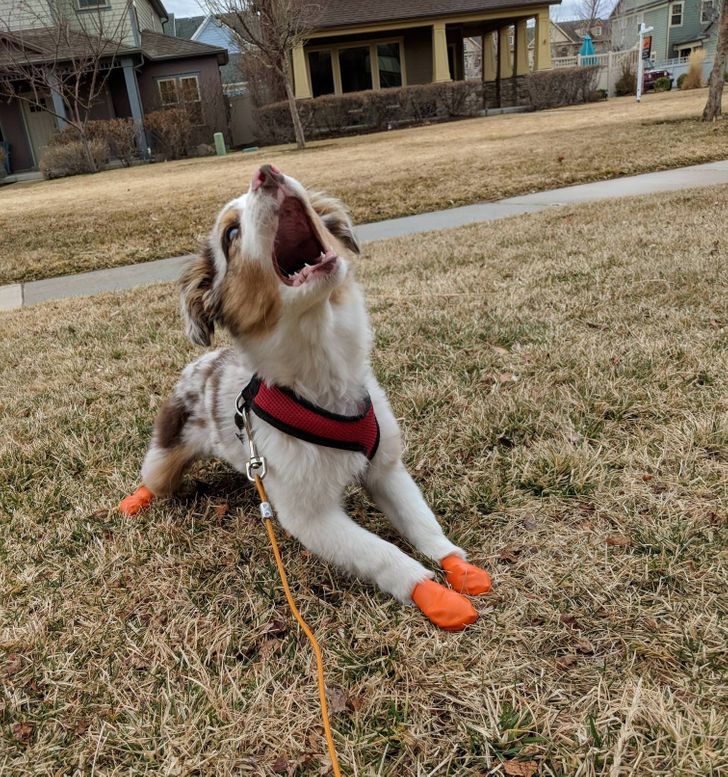 a04cd2503bba9be7b541e0fb41 a04cd2503bba9be7b541e0fb41