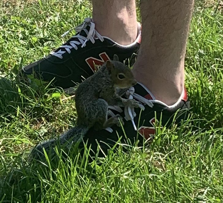 a04d475b2fb78b1ae04ec78c50