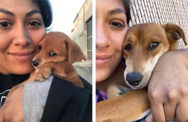 a0537050059df7f78a7dff23ce