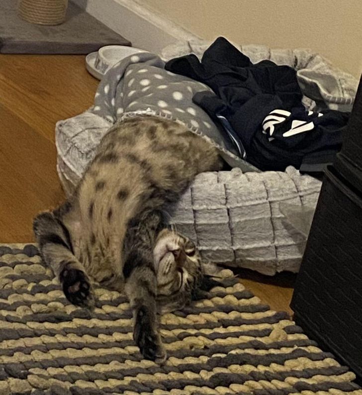 a0580557e99addd67b21468244 a0580557e99addd67b21468244