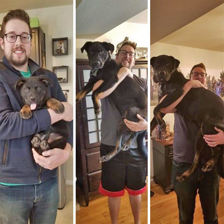 a0589257a2ba83917bba31f288