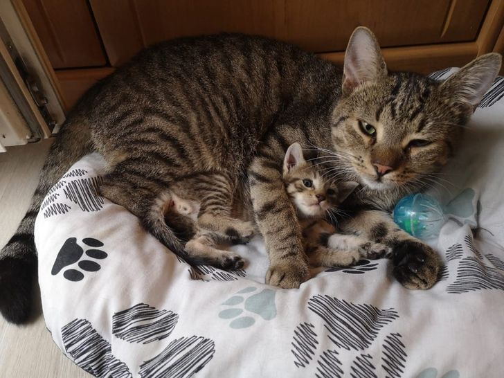 a065835da79c3dd15a30a2698f