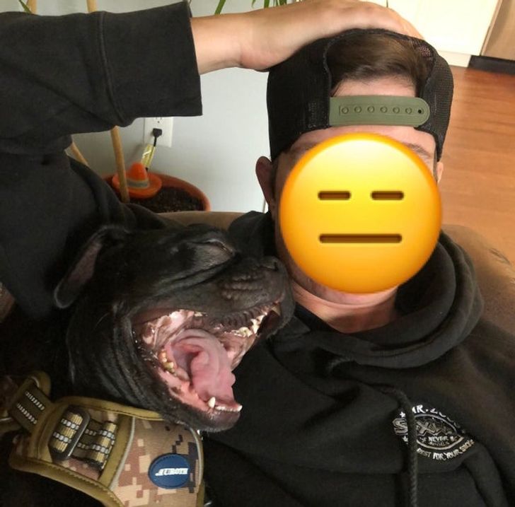 a065b9555f8a533e55eb34b655