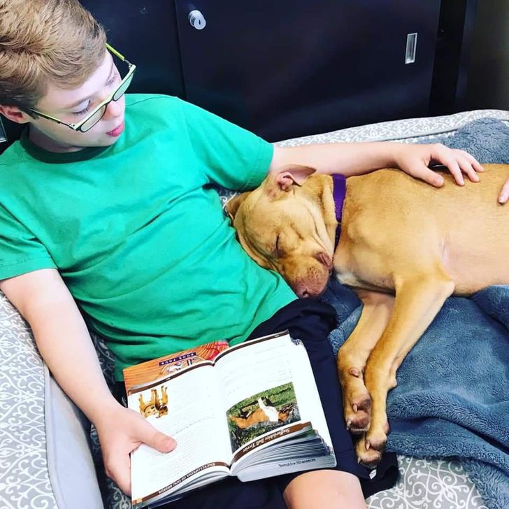 a0666454cbb48ac63901fa3790