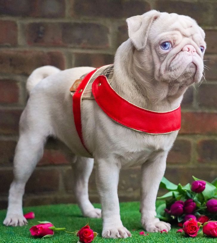 a06d8c54779c68fe37c98a0788