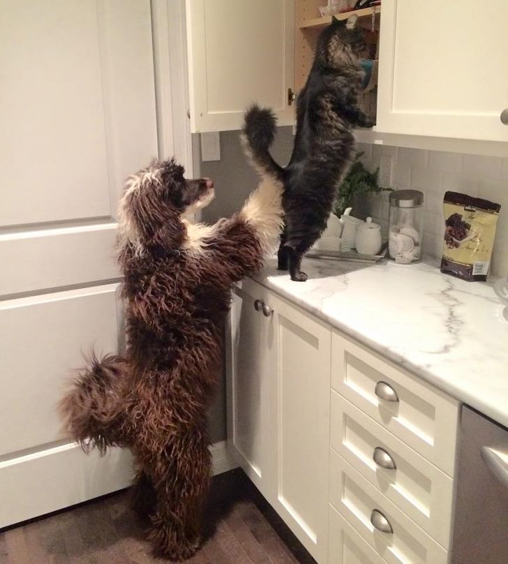 a0744f58b8894373cf54d2fa28