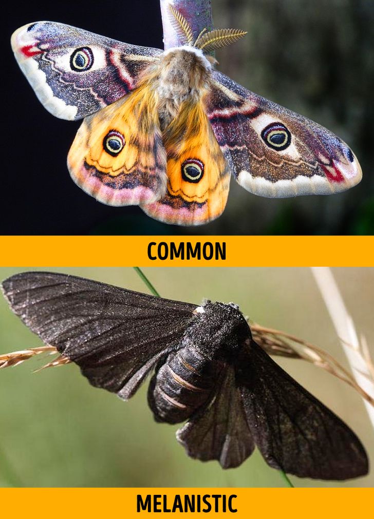 a0768e5ec29f54446c10227072