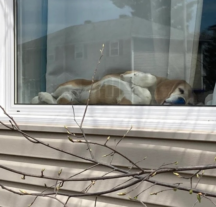 a078495045a7f21bc4a8200883