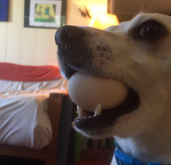 a083a85c4da038d82e1e12066b