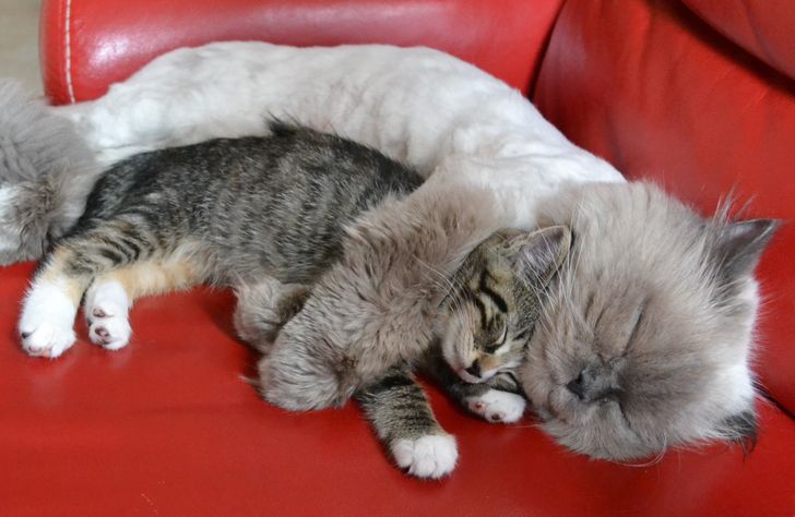 a0889e5389942e86a9dfe67535