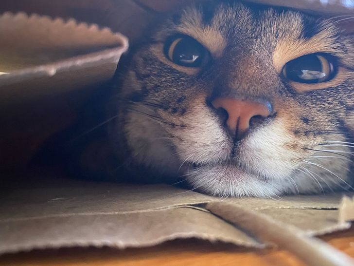 a089795ba886e11cbacf38bba1