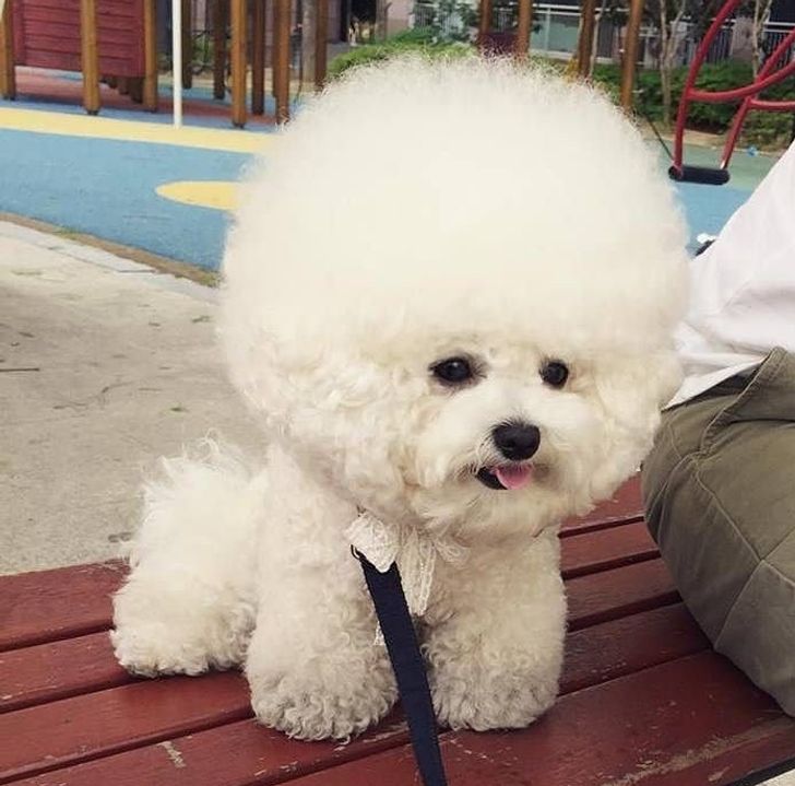 a092bc538c8047efc04ab4ddbe