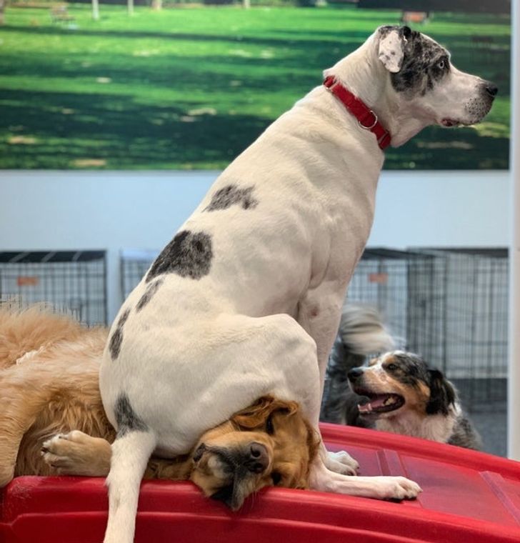 a09ed851dbbce5ff72ce5a3164