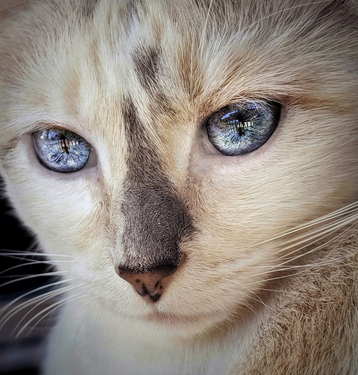 a0a0f75c9899ba19ba564b9f1c