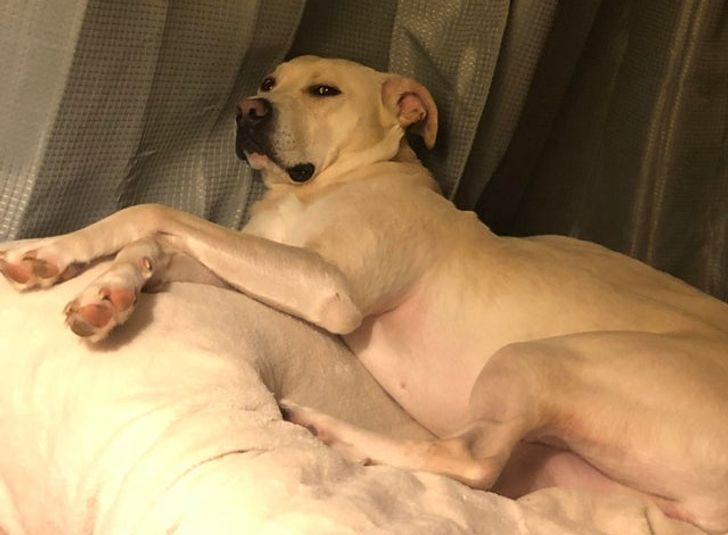 a0a1355013a75575415188cc2b