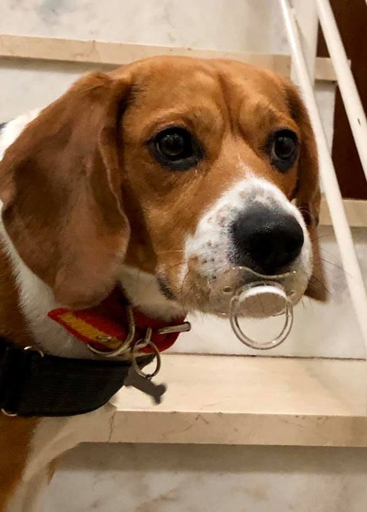 a0a6055ca2a503bea68d650ab6