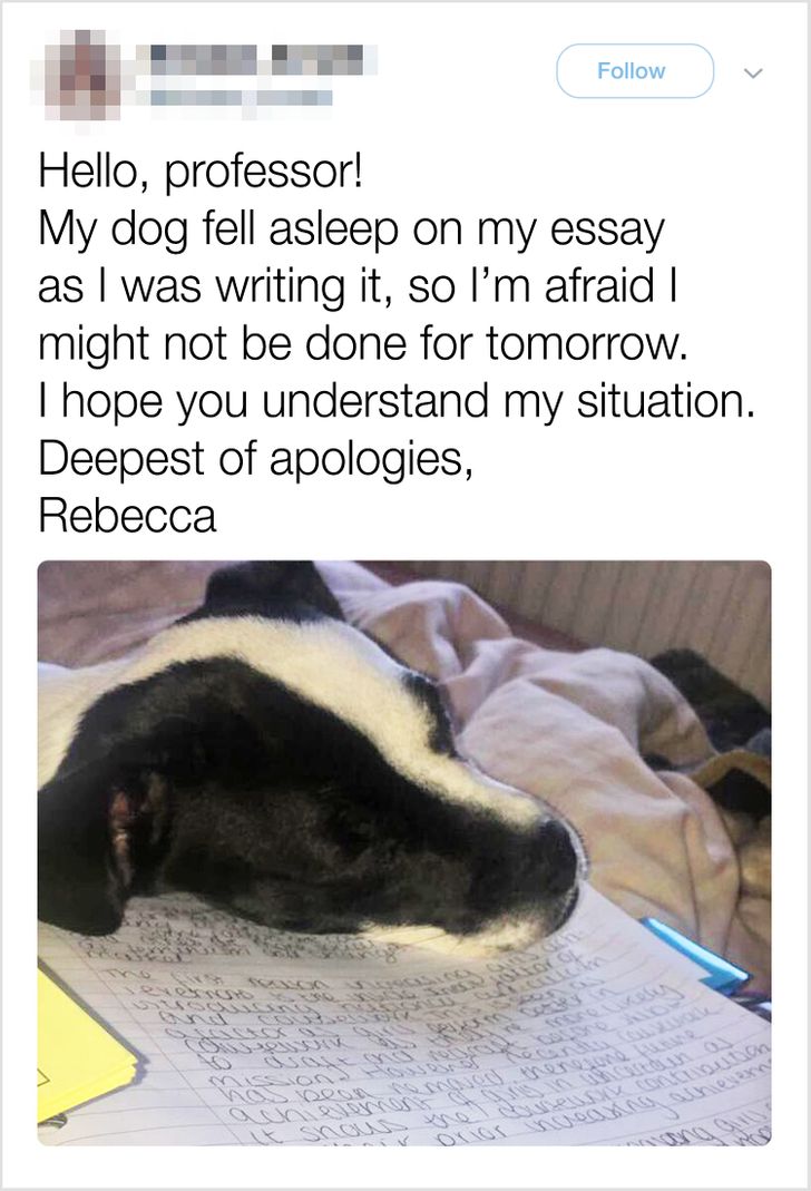 a0a8d65ee780a67bc02f14824a