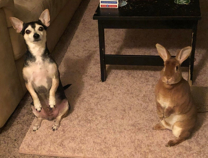 a0ab62515a88f42183d30c143a a0ab62515a88f42183d30c143a