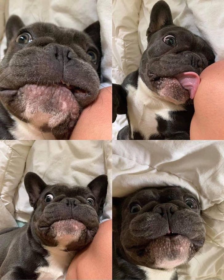 a0bb2d5287a7ac6f1acafb95bf