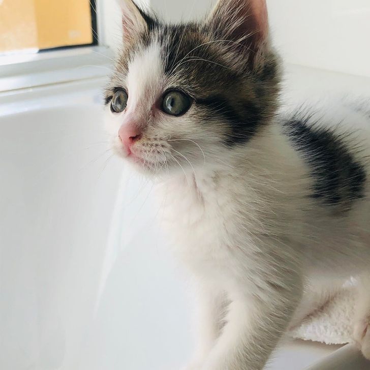 a0bea95091b5a850e88d259bc7