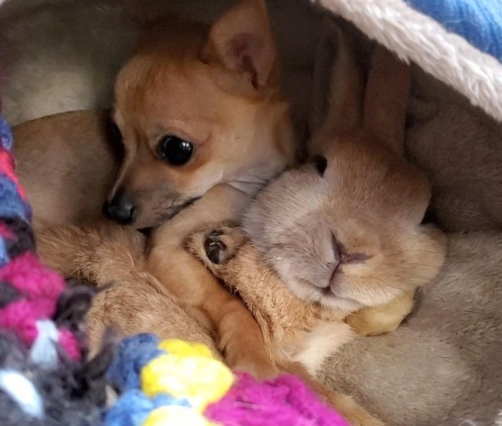 a0c23653bf9f44ec5d8cf32264 a0c23653bf9f44ec5d8cf32264