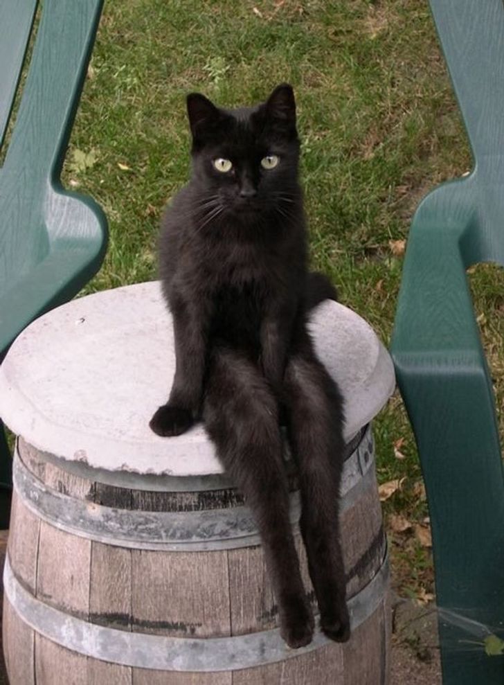 a0c462559aa922468c484242a0