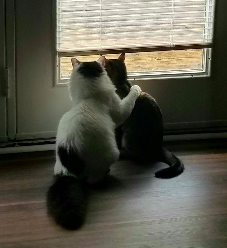 a0c8be53d9aaa910955a70a464