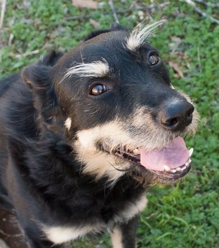 a0ce3e543c924f05b74ec84283