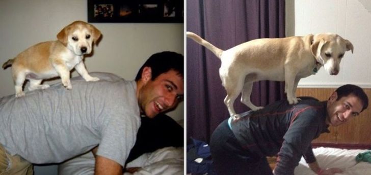 a0db1253a883c3b5934fbdaceb