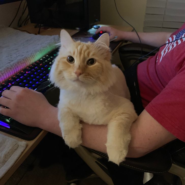 a0db1454cca1548d1942dad1ec