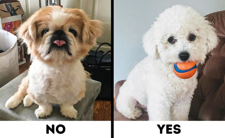 a0e1fc5b93934f6997c3e51e48