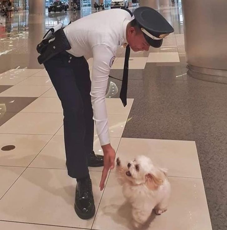 a0e39e572d85662001b210a80b