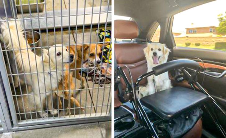 a0e8665d3ab20c48b1ecd6aafd